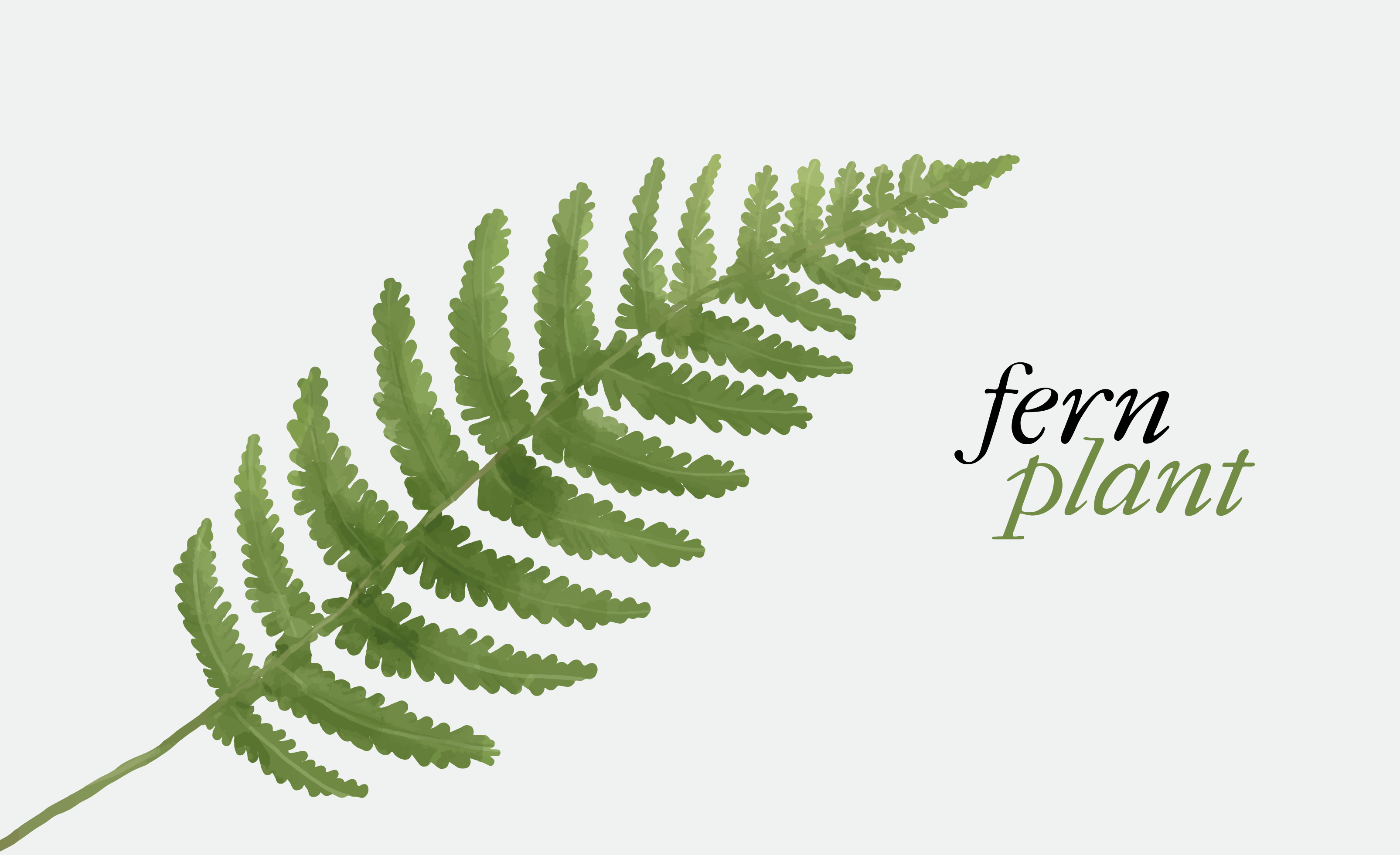Fern plant design floral vinyl rug - TenStickers