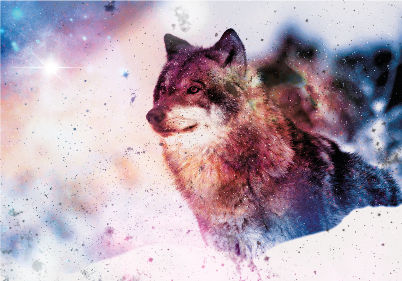 Cosmic wolf image animal vinyl rug - TenStickers