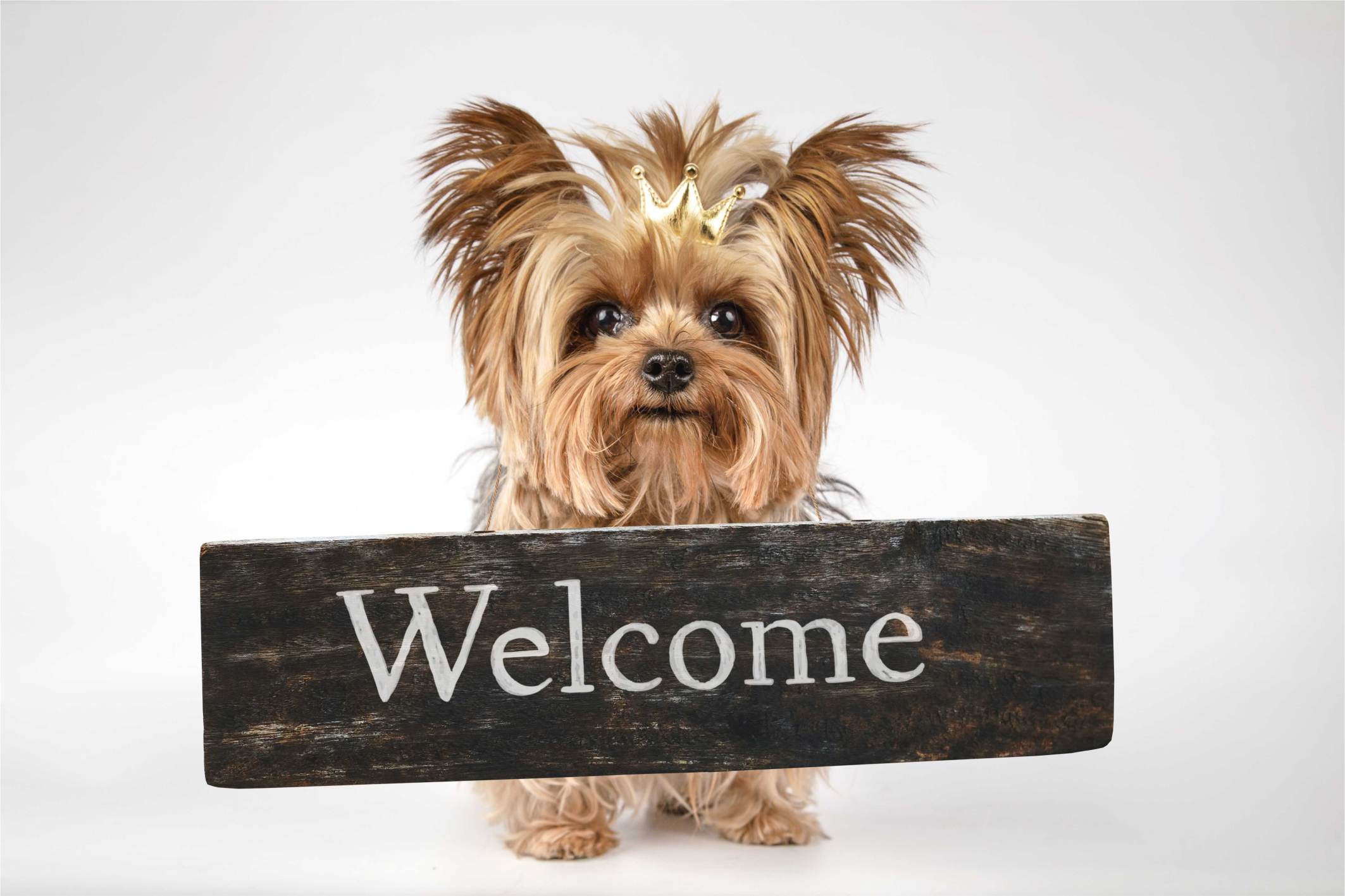 Furry Welcome Sign custom rug - TenStickers