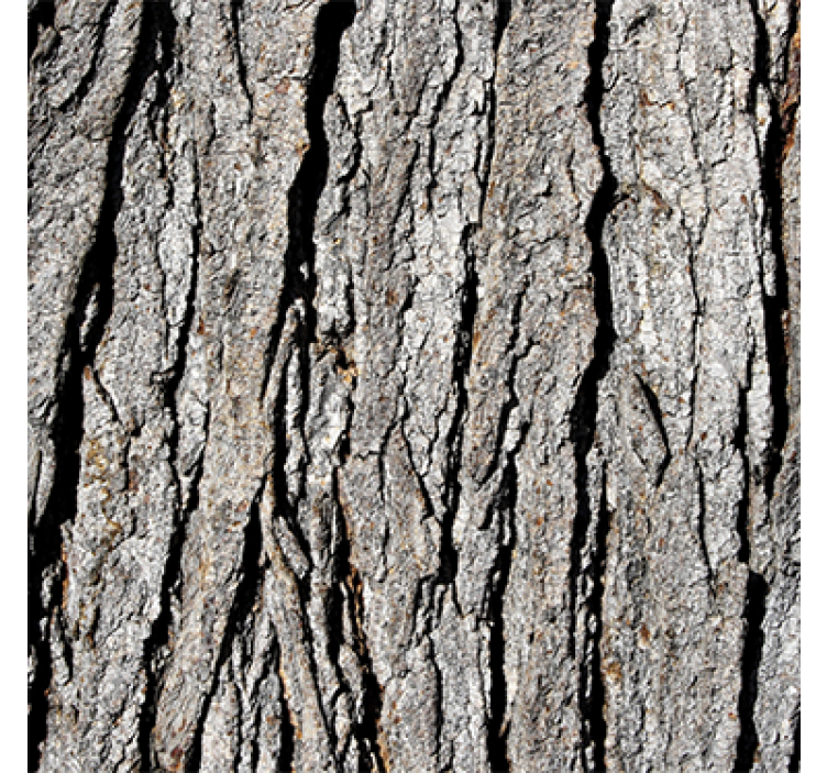 Wood effect wallpaper realistic trunk pattern - TenStickers