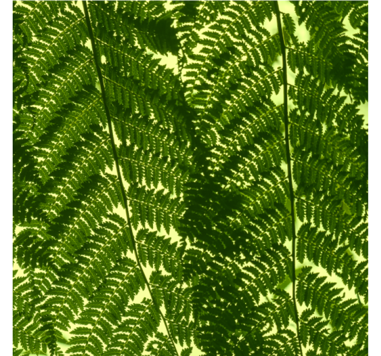 Nordic wallpaper green fern plant decor - TenStickers