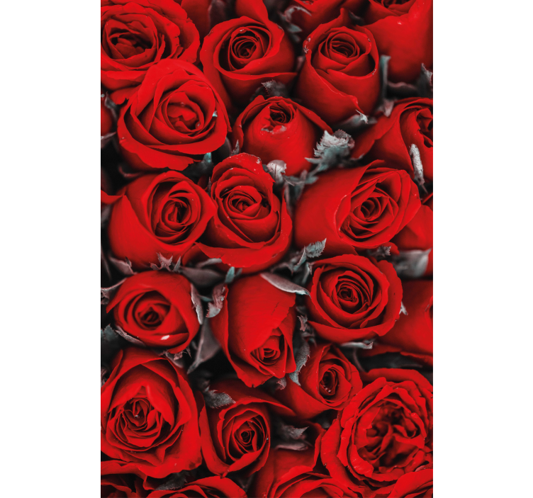 Flowers wallpaper red roses romance - TenStickers