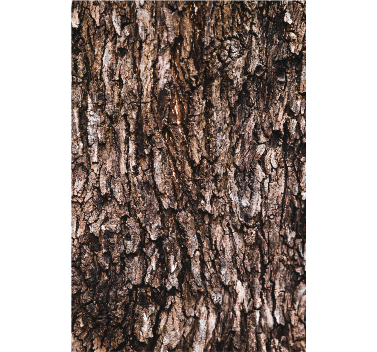 Master bedroom wallpaper realistic tree bark - TenStickers